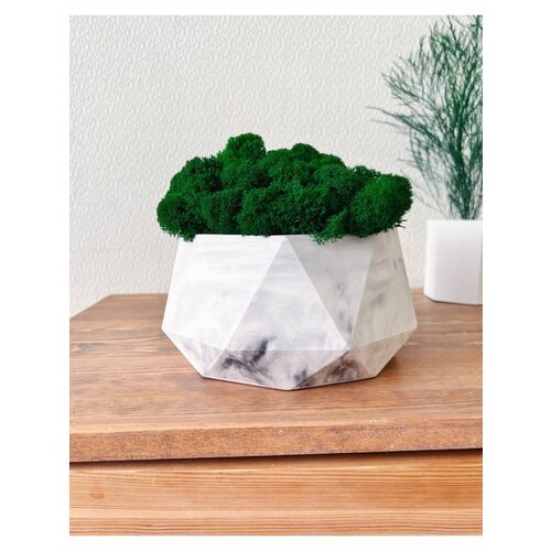 Кашпо со мхом 2600₽