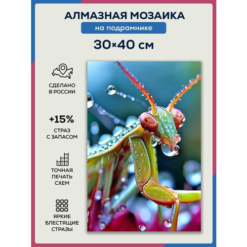 Алмазная мозаика 30x40 Кузнечик на подрамнике