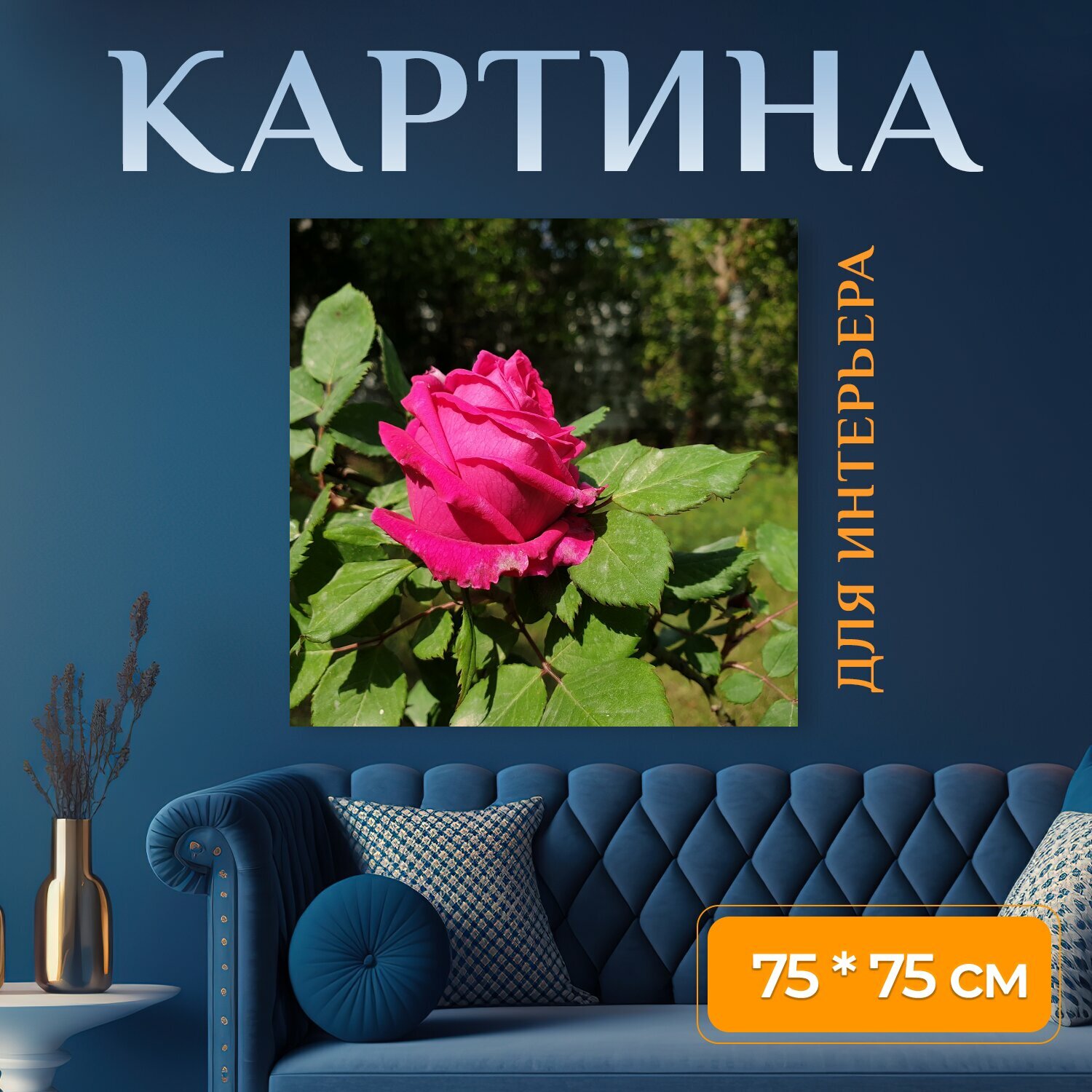 Картина на холсте "Роза, цветок, летом" на подрамнике 75х75 см. для интерьера