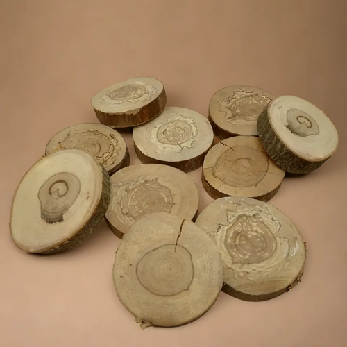 Набор спилов из дерева для декора и творчества 