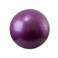Мяч гимнастический Gym Ball 55см YG-B02-55