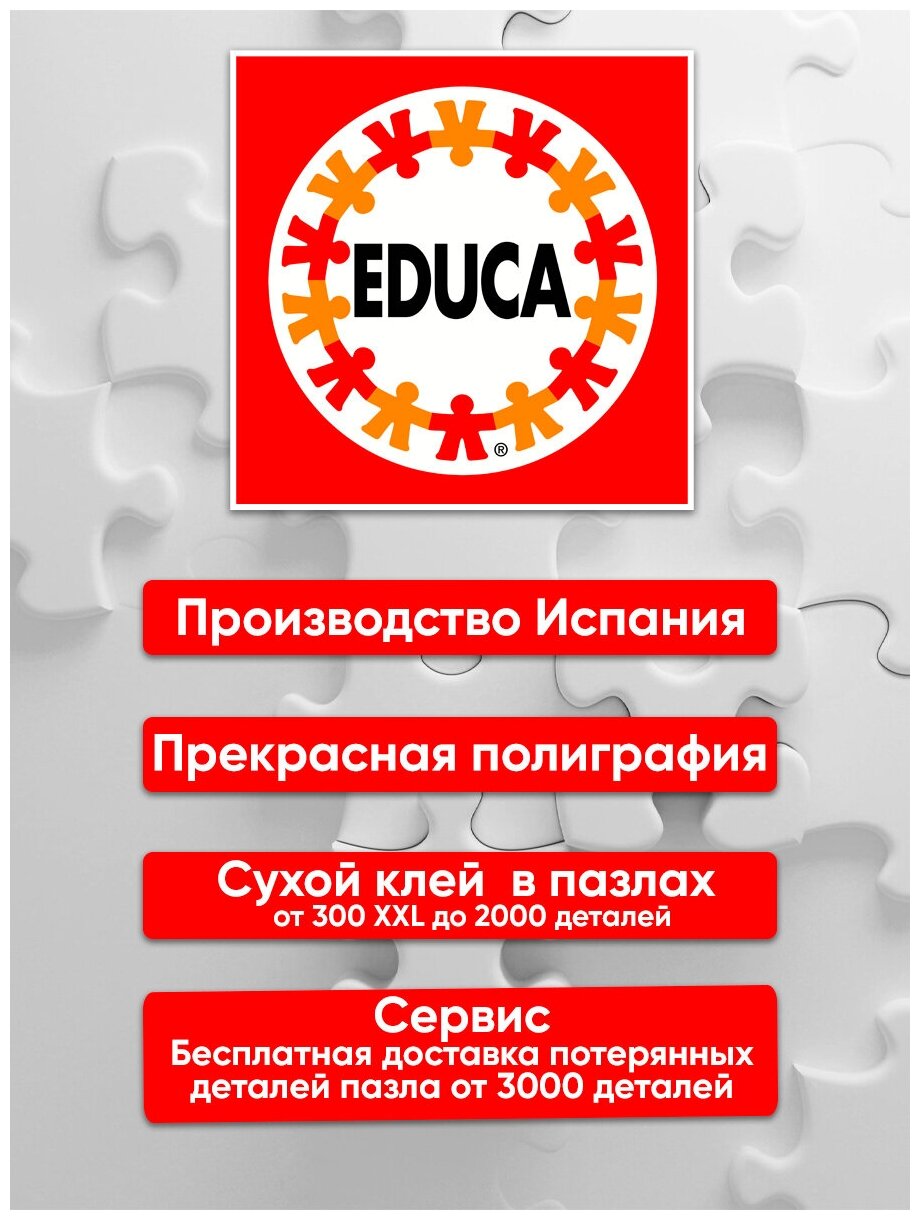 Пазл-800 круглый. Радуга Educa - фото №3