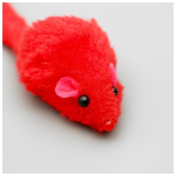Игрушка для кошек "Мышь малая" цветная, 5 см, микс цветов, Пижон - фотография № 4