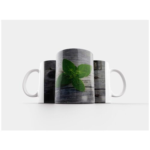 фото Кружка "трава, орегано, pamajorán" 320 мл lotsprints