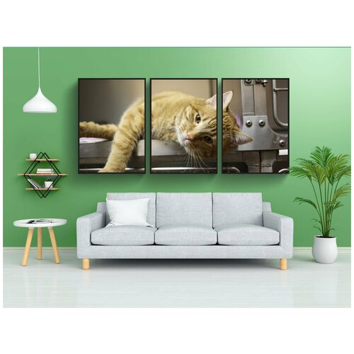 фото Набор модулных постеров для интерьера "кошка, китти, ветеринар" 60x90 см. в тубусе, без рамки lotsprints