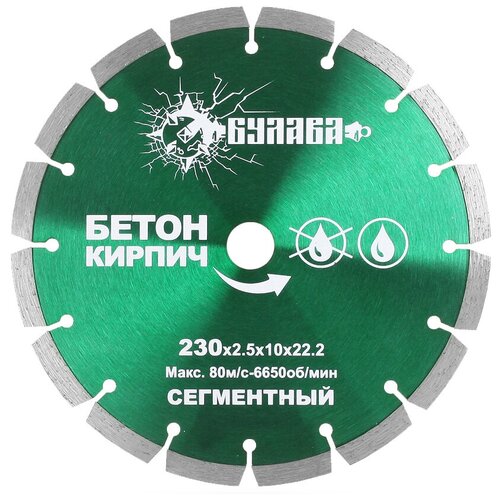 Диск сегментный 