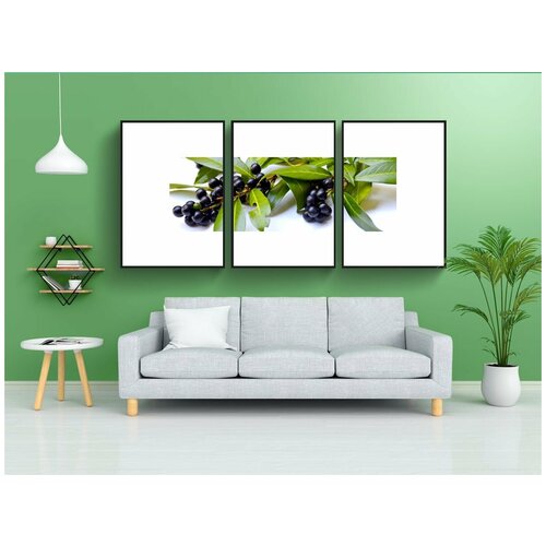 фото Набор модулных постеров для интерьера "декоративные кустарники, вишня, вишневый лавр" 60x90 см. в тубусе, без рамки lotsprints