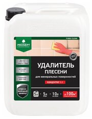 Удалитель плесени для минеральных поверхностей PROSEPT FUNGI CLEAN 5 л