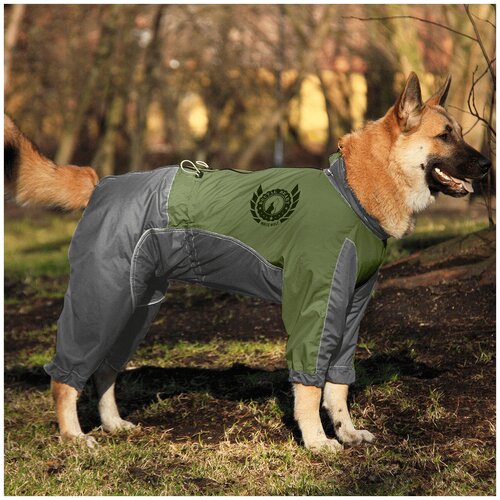 Комбинезон для собак Brutal heart вырез на мальчика зелёный-серый White wolf