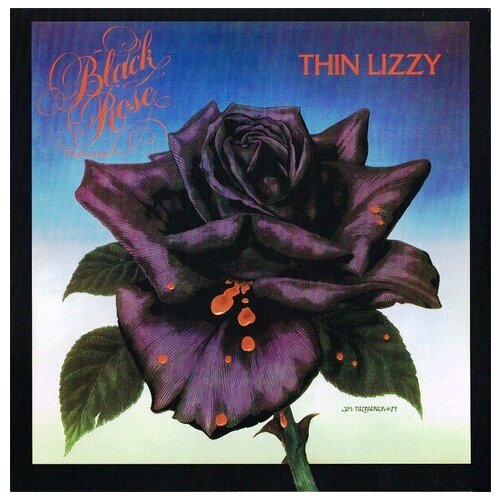 Thin Lizzy Black Rose 12