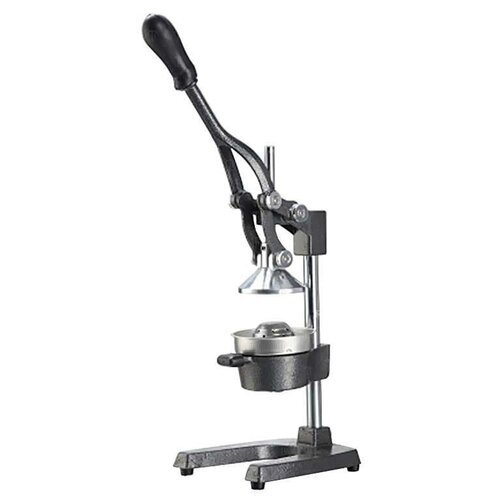 Соковыжималка EKSI JH 2 731300₽