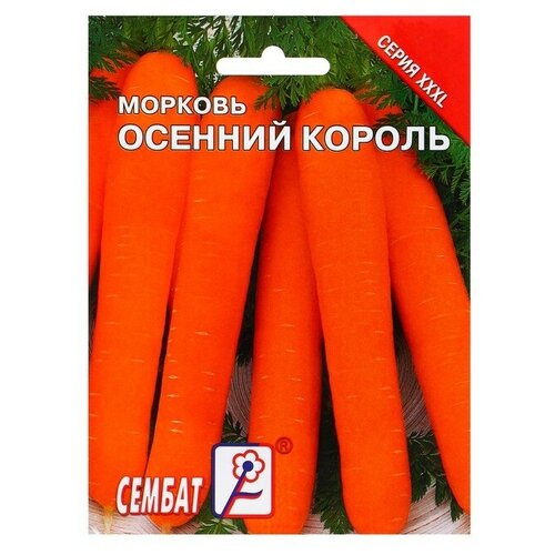 Семена ХХХL Морковь Осенний король, 10 г
