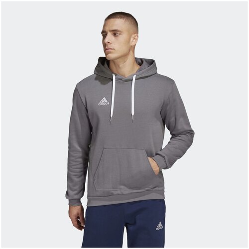 Худи муж. HB0578/(ENT22 HOODY)/TEGRFO/размер L