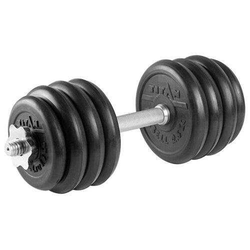 Гантель разборная 20 кг TITAN Barbell - d31, Комплектация №2 с железной ручкой гантель разборная 27 кг titan barbell d31 комплектация 1 с железной ручкой