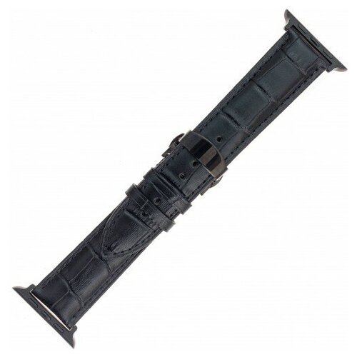 BandRate Smart RAPBRS106BB-42-44MM