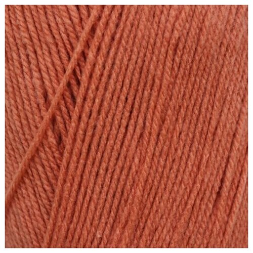 Купить Пряжа для вязания Astra Premium 'Галатея' 100гр. 250м (100% акрил) (04 персиковый), 3 мотка