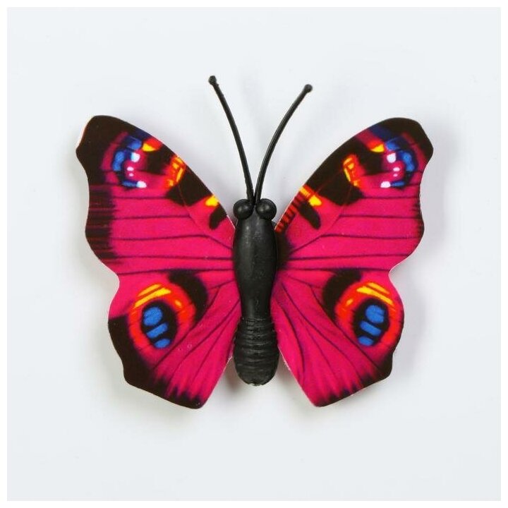 Магнит "Бабочка миниатюрная" 3×4 см - фотография № 3