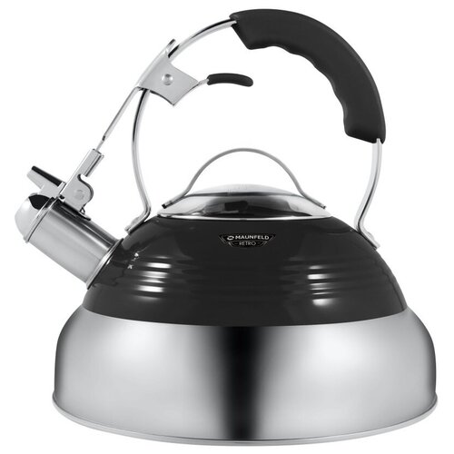 Электрический чайник Maunfeld MRK-119BK черный 270600₽