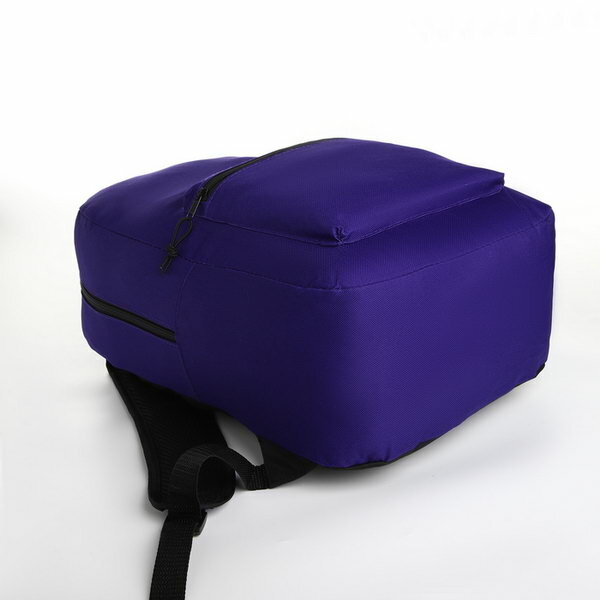 Рюкзак молодёжный на молнии, наружный карман, цвет фиолетовый
