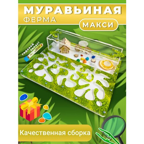 Муравьиная ферма MAXI большая 29*23 см зелёная кофейный муравьиный питатель муравьиное гнездо 3d водяная башня муравьиная ферма уникальные аксессуары 25 мл