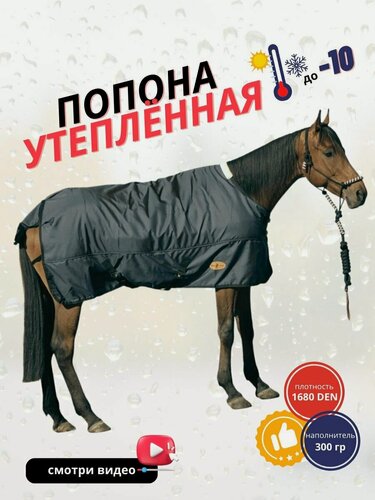Изображение товара Sweethorse / Попона для лошади утеплённая, черная, размер 135