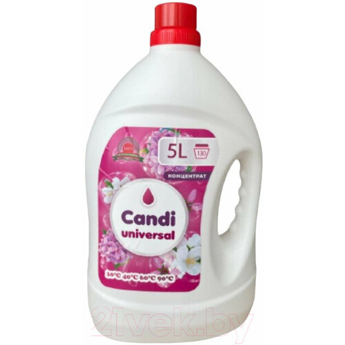 Гель для стирки Candi Universal 5лмк 2345₽