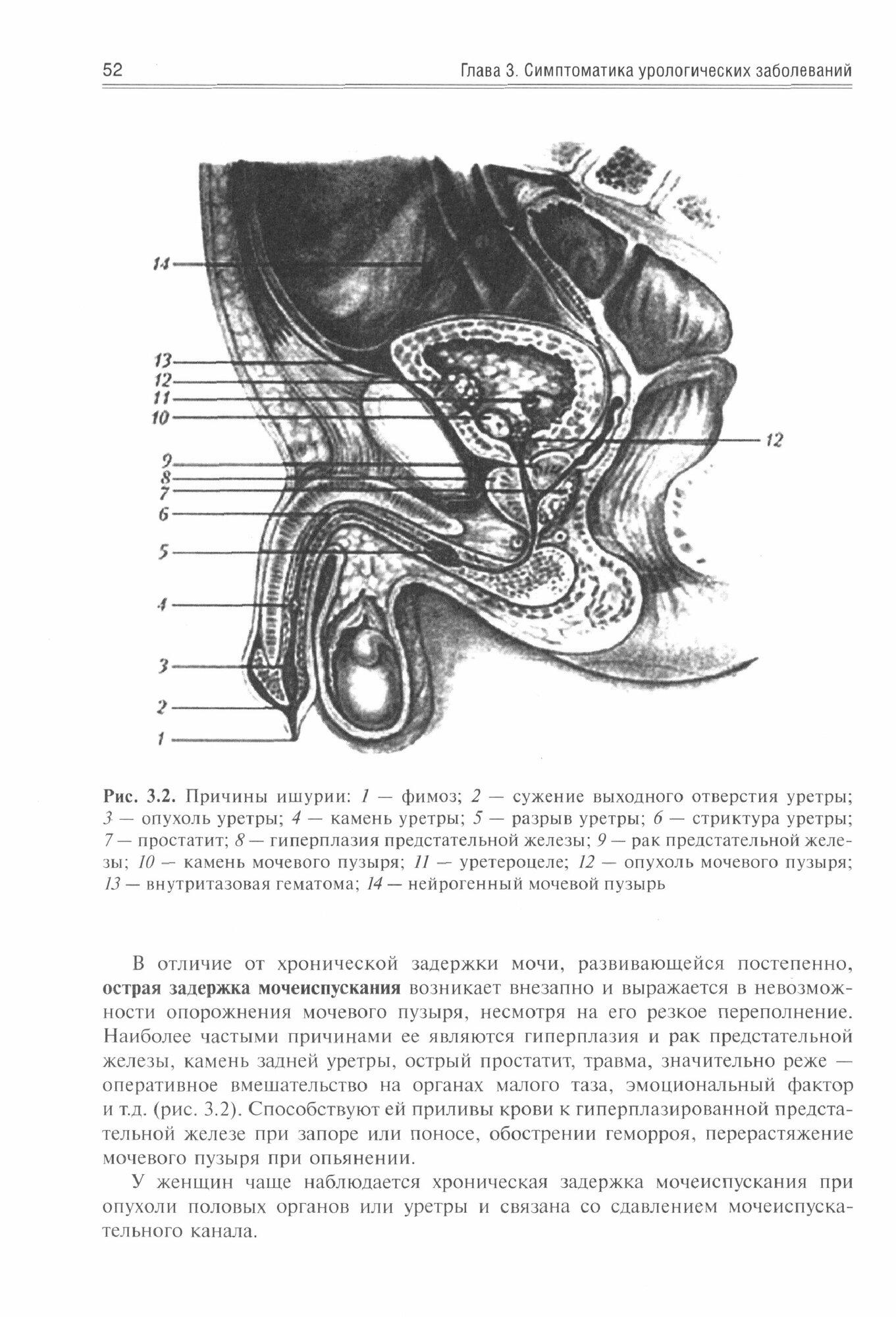 Урология. Учебник (Аляев Юрий Геннадьевич, Ахвледиани Ника Джумберович, Амосов Александр Валентинович) - фото №2