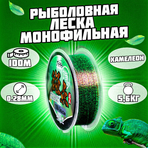 Леска монофильная рыболовная зеленая. Хамелеон 100м 0.28мм