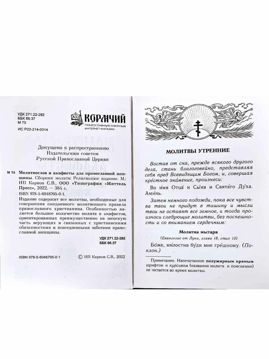 Молитвослов. Правило ко причастию. Молитвы за ближних. Каноны и акафисты. Молитвы на всякую потребу - фото №17