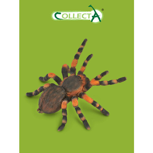 Фигурка животного Collecta, Мексиканский тарантул игровые фигурки collecta дикий африканский осел l
