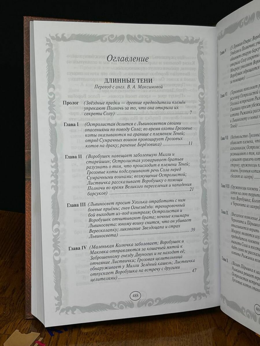 Книга Коты-воители. Длинные тени. Восход солнца - фото №8