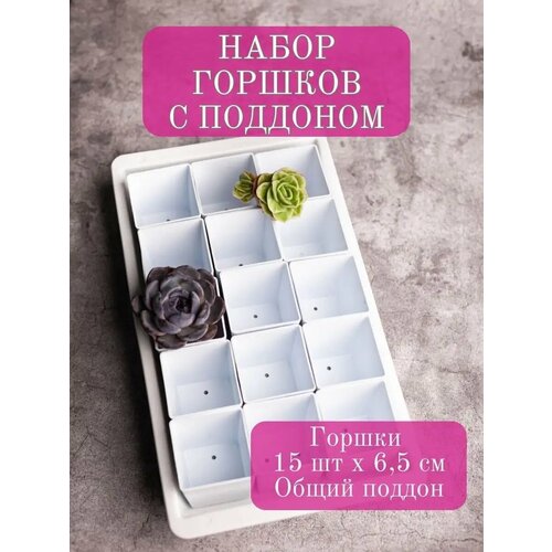 Набор горшков Garden Emili для суккулентов с поддонами, 15 шт, белый, 0.21л