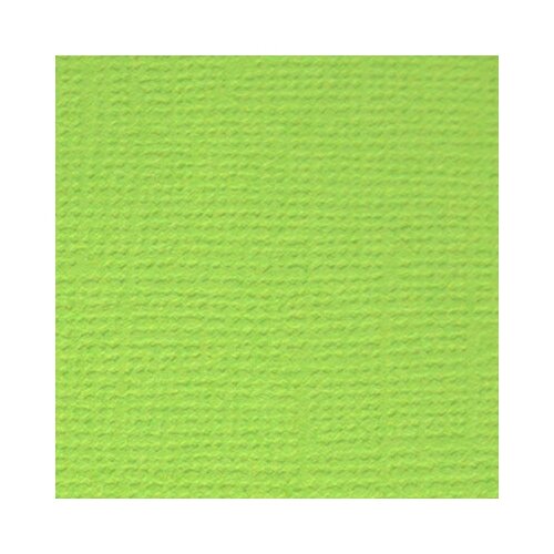 Бумага для скрапбукинга Mr.Painter 216 г/м2, 30,5*30,5 см, 10 шт, 28, Зеленое яблоко (PST)