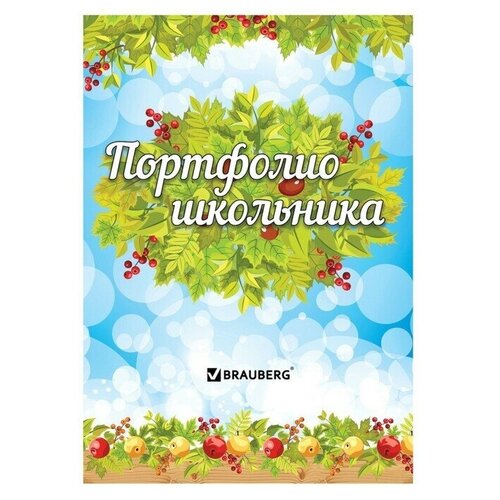 Портфолио школьника BRAUBERG, 16 листов: титульный лист, содержание, 14 разделов Окружающий мир