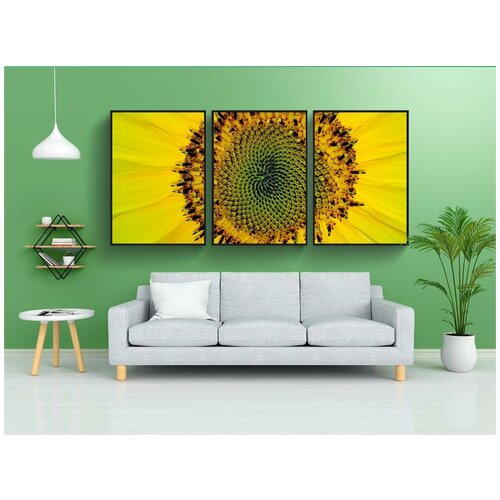 фото Набор модулных постеров для интерьера "фибоначчи, подсолнух, желтый" 60x90 см. в тубусе, без рамки lotsprints