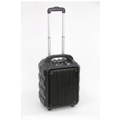 Акустическая система портативная на колесах с аккумулятором 25Вт Leem PR-6 колонка передвижная на колесах 1490000₽