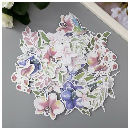 фото Набор высечек "tender orchid" 49 шт newstory