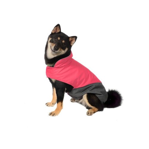 фото Tappi одежда попона блант для собак розовая, размер s, спинка 30 см, лд22ос, 0,980 кг