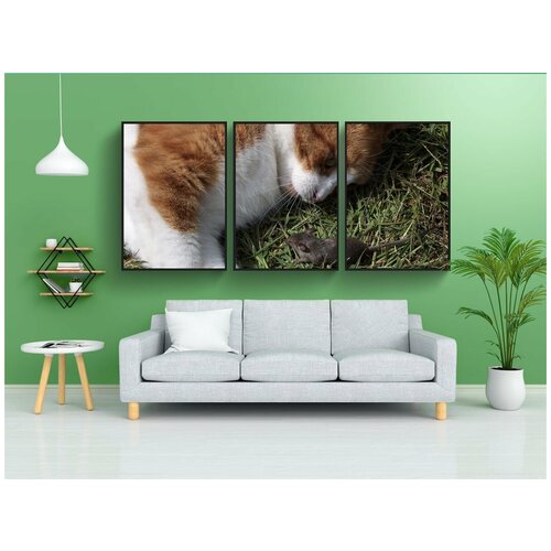 фото Набор модулных постеров для интерьера "кот, мышь, картина" 60x90 см. в тубусе, без рамки lotsprints