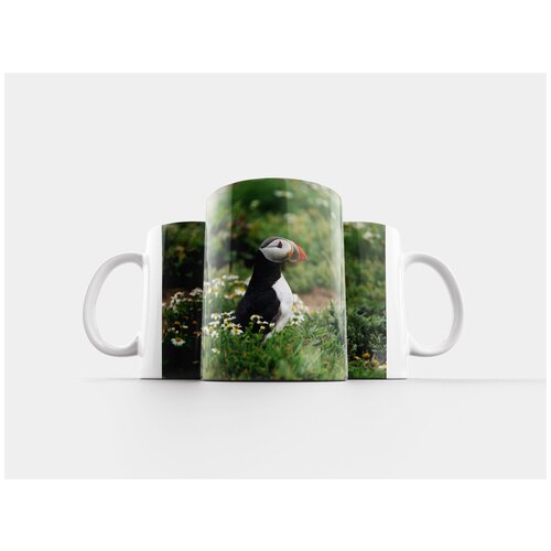 фото Кружка "уэльс, тупик, puffin" 320 мл lotsprints