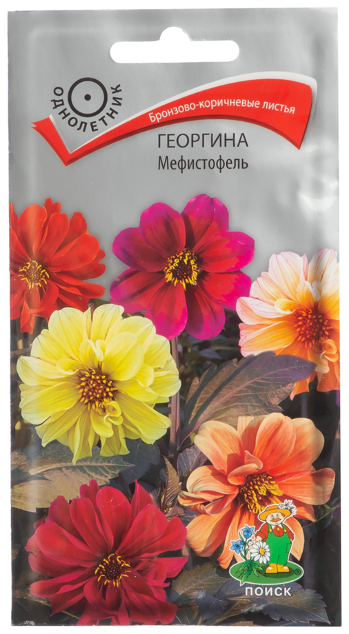 Георгина Мефистофель Поиск микс 0,2 гр - фото №3