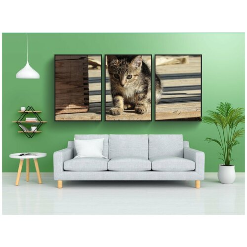 фото Набор модулных постеров для интерьера "котенок, кошка, домашний питомец" 60x90 см. в тубусе, без рамки lotsprints