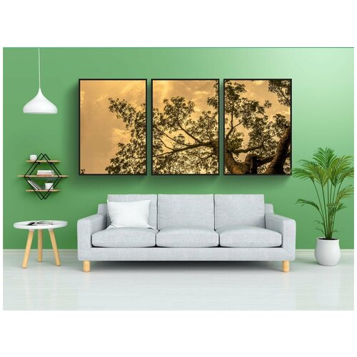 фото Набор модулных постеров для интерьера "дерево, ствол, лес" 60x90 см. в тубусе, без рамки lotsprints