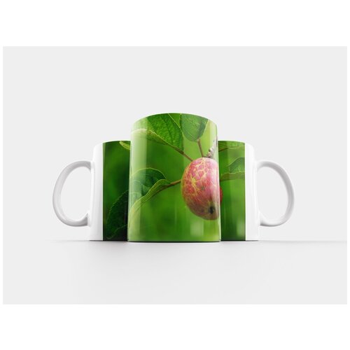 фото Кружка "яблоко, фрукты, яблоки" 320 мл lotsprints