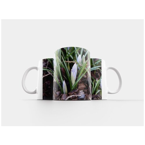 фото Кружка "крокус, сад, конец зимы" 320 мл lotsprints