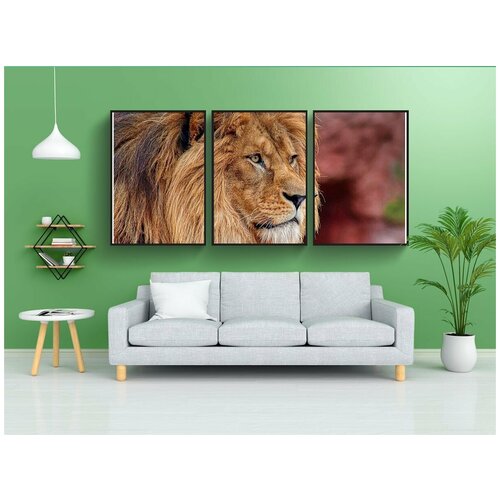 фото Набор модулных постеров для интерьера "лев, грива, дикий" 60x90 см. в тубусе, без рамки lotsprints