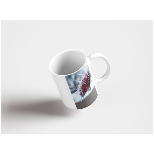 фото Кружка "кристаллы льда, шиповник, зима 320 мл. белая" lotsprints