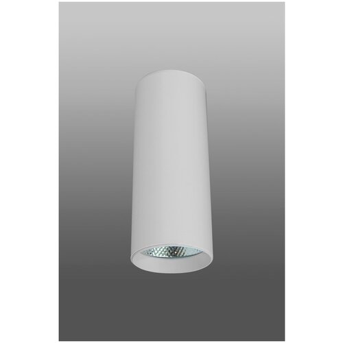 ShopLEDs Накладной светодиодный светильник DM-174 (15W, 3000K, 80*200, белый корпус)