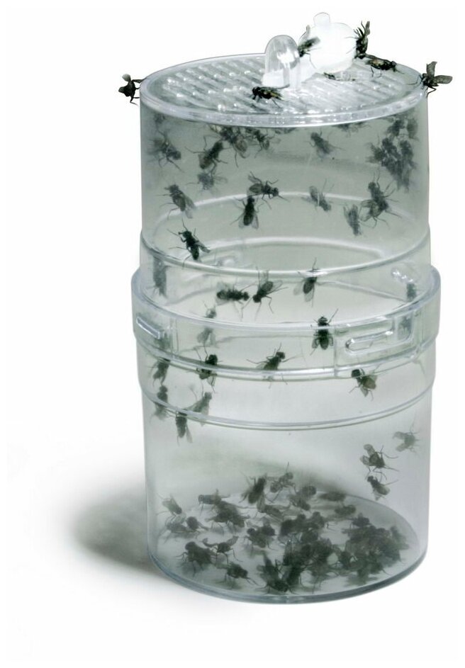 LUCKY REPTILE Контейнер для содержания кормовых летающих насекомых "Fly Feeder" (Германия) - фото №4