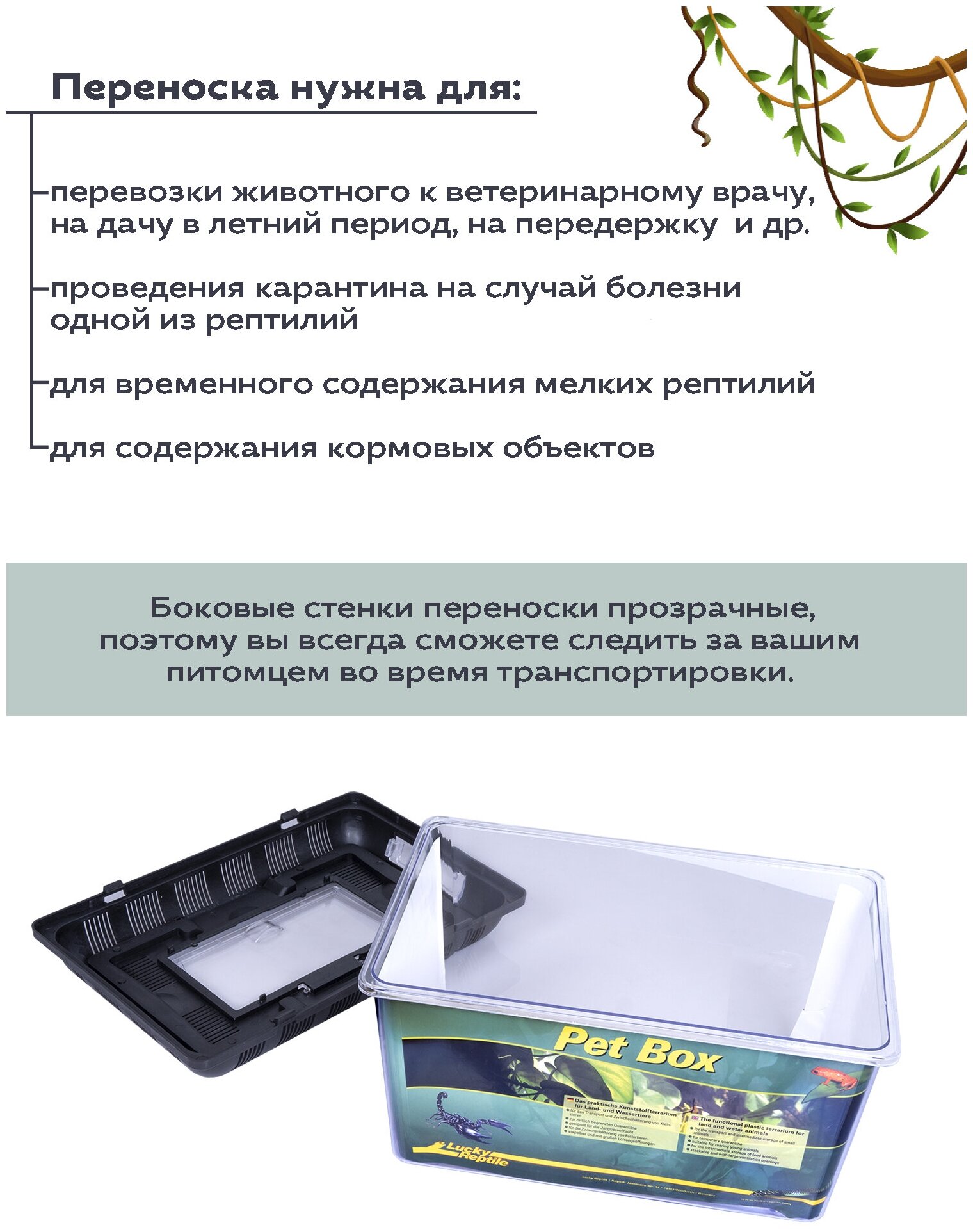 Переноска для рептилий LUCKY REPTILE "Pet Box Large", 42x26x16см (Германия) - фотография № 3